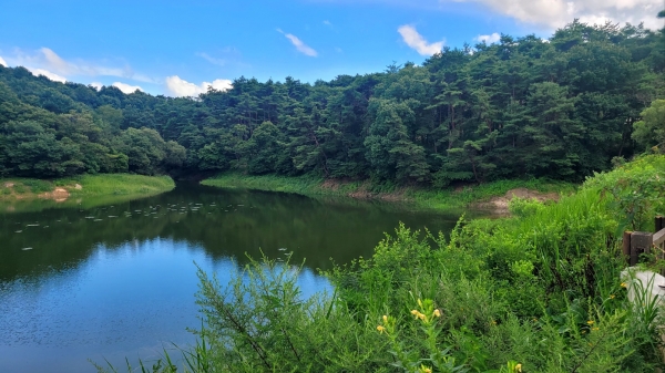 지난 28일 본보 취재진이 촬영한 남원시 사매면 서도리 일원. 사진=박종두 기자