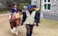 어린이 말체험(사진=경기도축산진흥센터)