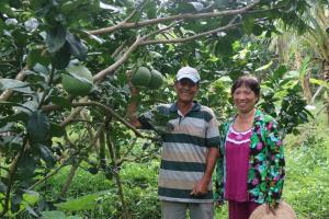 교보생명, 하반기 베트남 빈곤농가에 희망나무 2만6천그루 지원