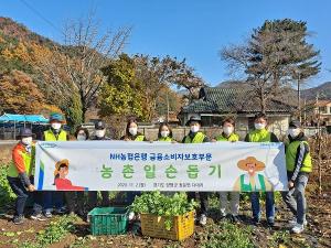 NH농협은행, 경기 양평군 자매결연마을서 일손돕기