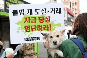 국제 강아지의 날 "불법 개 식용 금지하라"
