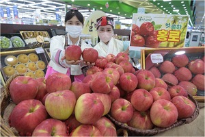 9월 사과·배 등 과일값 폭등···"생산량 감소 탓"