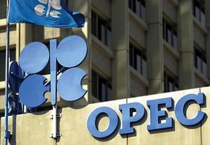 OPEC 사무총장 "고유가 상황 당분간 지속될 것"