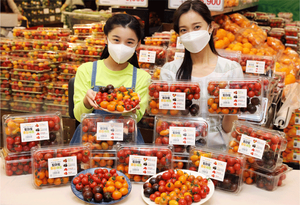 서울 성동구 이마트 성수점에서 모델들이 네 가지 방울토마토 품종이 담긴 세트 상품을 소개하고 있다. (사진=이마트) 