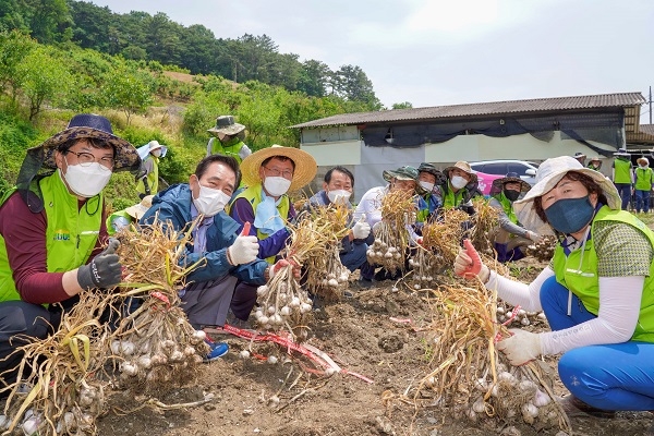 이수환 농협 대구지역본부장(왼쪽 줄 첫 번째)과 김문오 달성군수(왼쪽 줄 두 번째), 배부열 농협금융지주 부사장(왼쪽 줄 세 번째)와 임직원들이 마을주민들과 마늘 수확 작업을 하고 있다. (사진=)