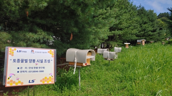 LS그룹 연수원인 LS미래원 야외 정원에 설치된 토종꿀벙 양봉 시설 (사진=LS)