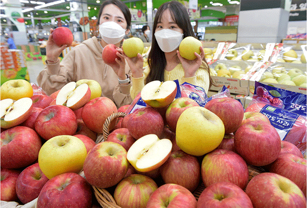 13일 서울 서초구 하나로마트 양재점에서 모델들이 여러 가지 사과를 들어 보이고 있다. (사진=농협유통)  