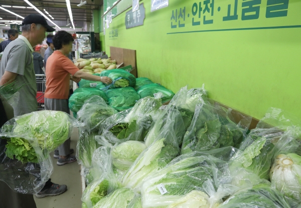 폭염과 폭우로 채소 가격 상승세가 이어지면서 추석 물가마저 불안하다. 4일 오전 서울시내 한 대형마트에서 소비자들이 배추와 무를 고르고 있다. (사진=연합뉴스)