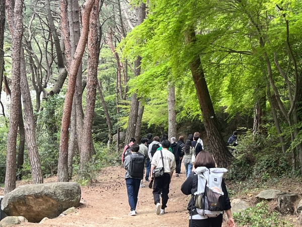 4월중 금강공원에서 진행된 힐링데이 공원여행 프로그램 장면. (사진=부산시설공단)