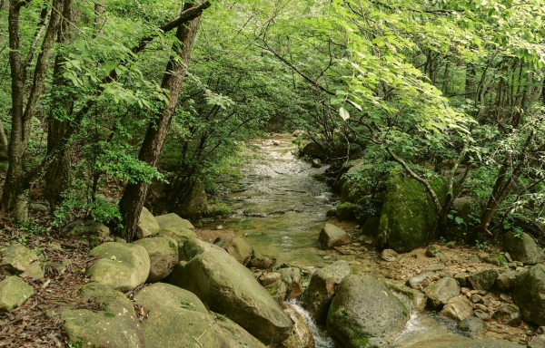 전남 강진군이 여름 휴가철을 맞아 월출산 국립공원의 경포대 계곡이 한시적으로 개방한다.(사진=강진군)