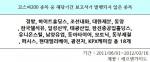 '무늬만' 코스피200…보고서 발행 '극과 극'