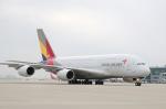 아시아나, A380 6대 도입 완료…"장거리 경쟁력 강화"