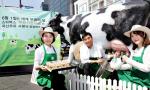 스타벅스 '우유사랑라떼' 캠페인 참여 50만명 돌파