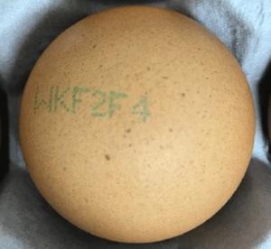 거창 호암농장 계란 회수·폐기…난각코드 'WKF2F4'