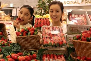 신세계백화점 '달콤한' 산청 딸기 판매 