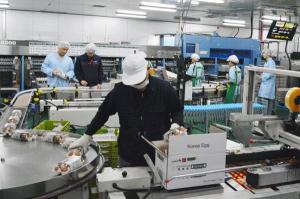 현대그린푸드, 홍콩 아지노친미에 '알로팜 계란' 수출