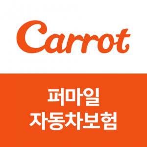 [신상품] 캐롯손보 '퍼마일 자동차보험'