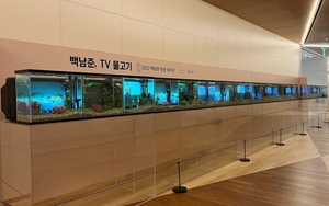 갤러리아 광교점, 백남준 TV 물고기 전시