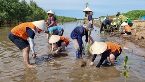 SK이노베이션, 베트남 맹그로브숲 복원 사업 기부·식수 활동