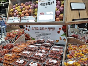 [초점] '쓴맛 방울토마토' 파동 근본 원인은 신품종 등록 절차