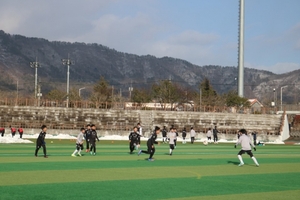 강진군, 3000명 참가 '강진청자배 전국 초등축구 페스티벌' 개최