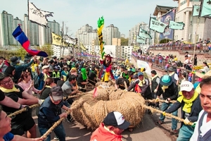 '줄로 하나되는 지구촌' 기지시줄다리기 성료···글로벌 축제 성장