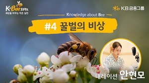KB금융, 'K-BEE 프로젝트' 영상 4탄 공개